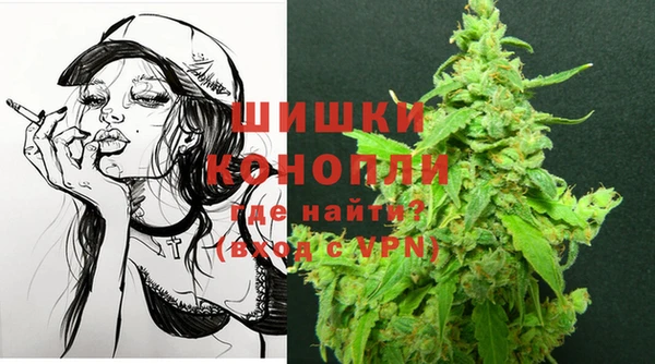 ПСИЛОЦИБИНОВЫЕ ГРИБЫ Кодинск