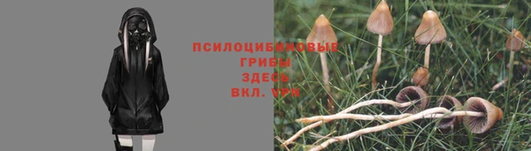 2c-b Краснотурьинск