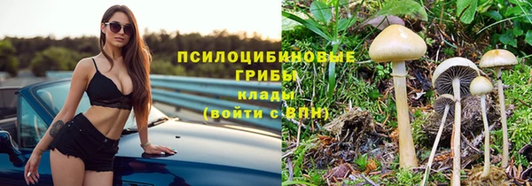 apvp Козельск